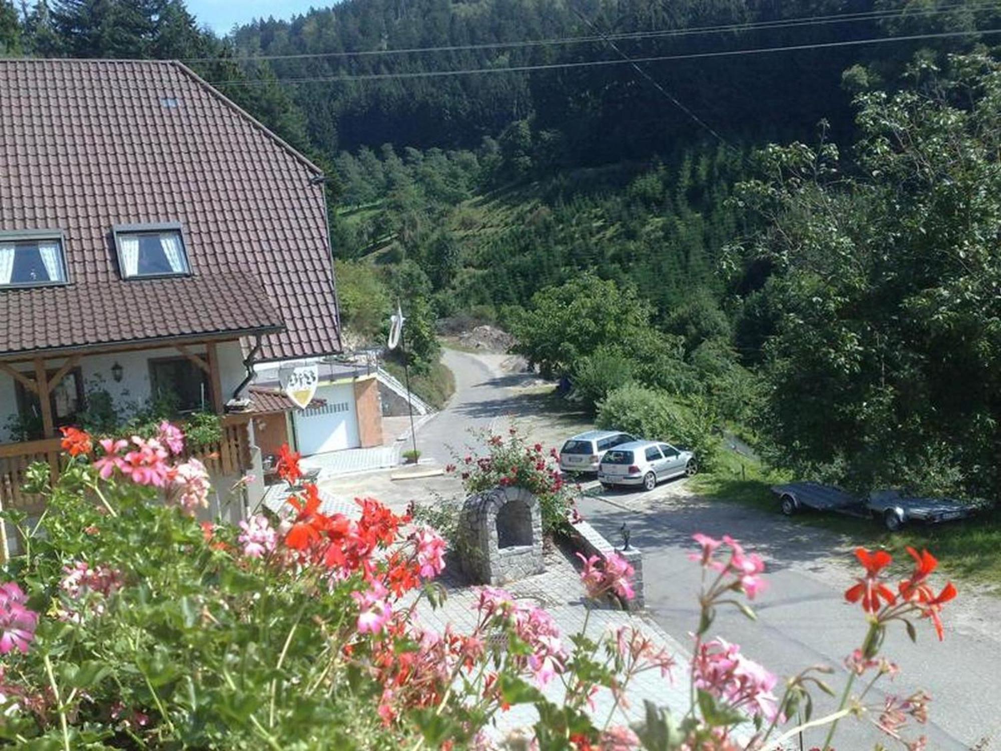 Ferienwohnung Schneckenhus Lautenbach Buitenkant foto