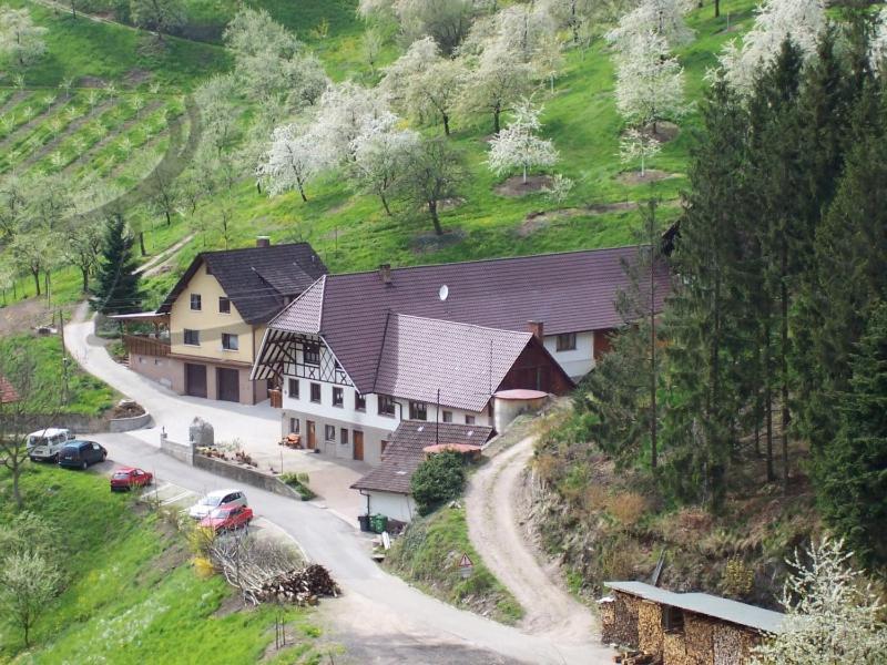 Ferienwohnung Schneckenhus Lautenbach Buitenkant foto