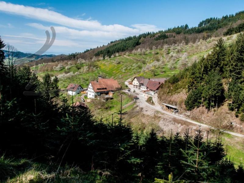 Ferienwohnung Schneckenhus Lautenbach Buitenkant foto