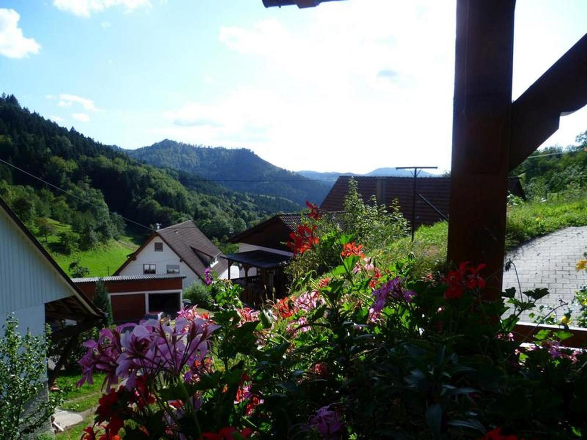 Ferienwohnung Schneckenhus Lautenbach Buitenkant foto