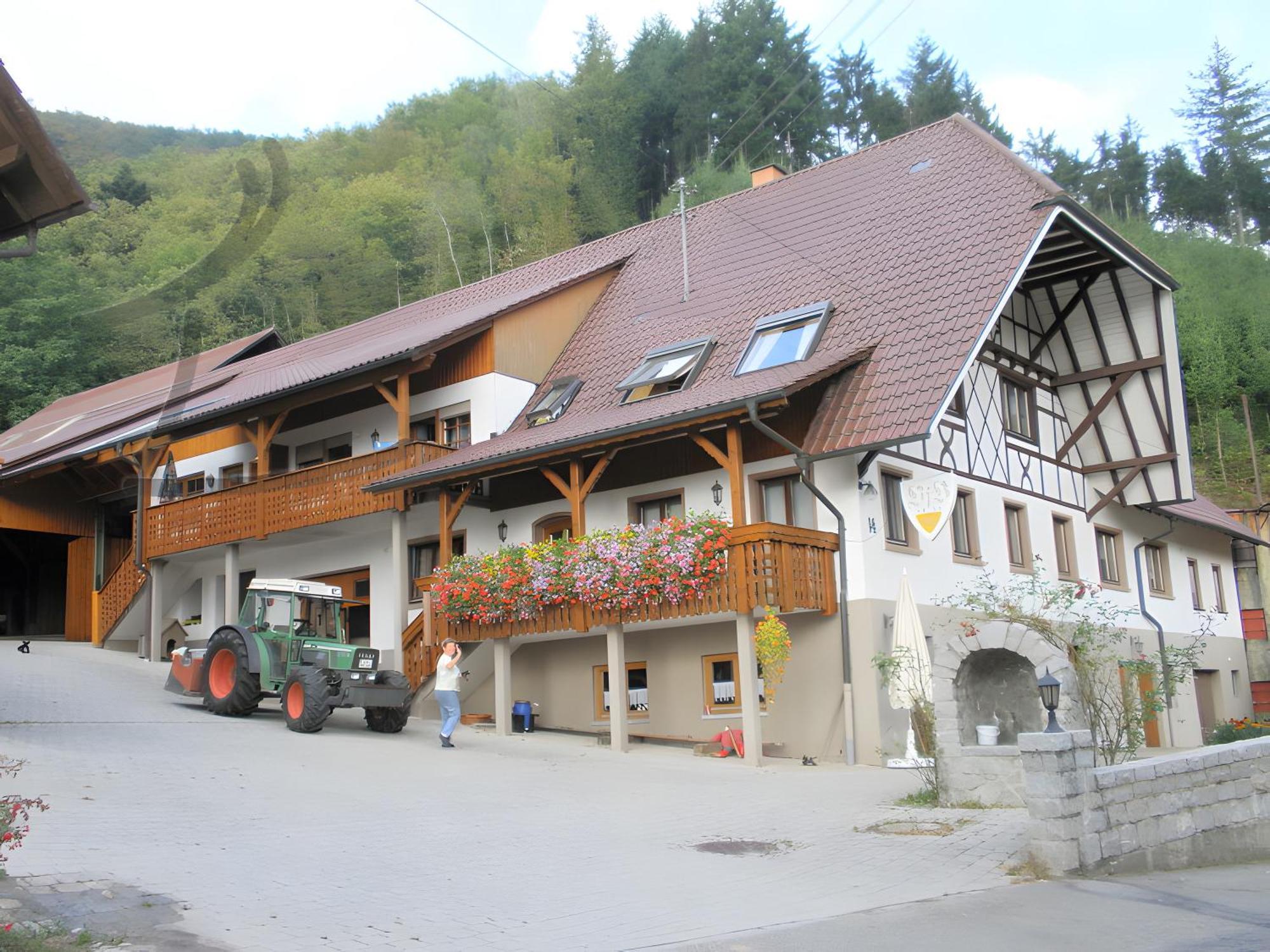 Ferienwohnung Schneckenhus Lautenbach Buitenkant foto